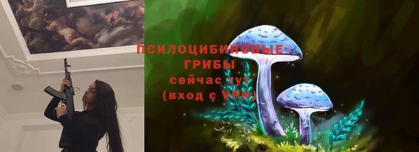 прущие крисы Вяземский