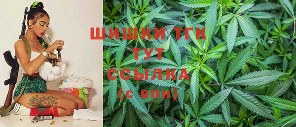 прущие крисы Вяземский