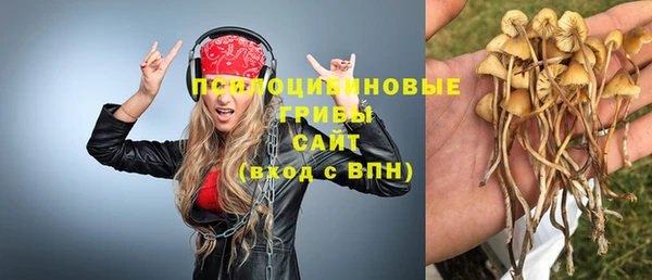 ешки Вязьма