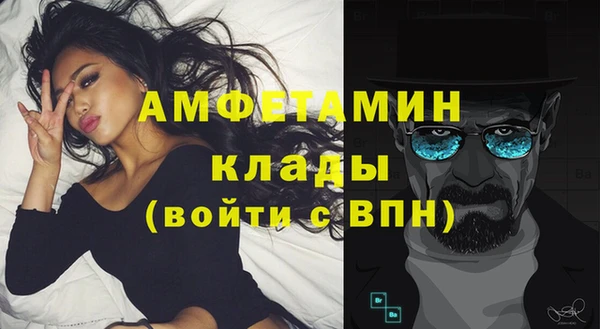 прущие крисы Вяземский