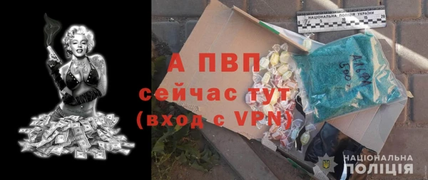 ешки Вязьма