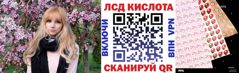 закладки  Болотное  Марки NBOMe 1500мкг 