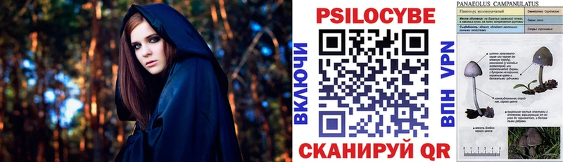 Псилоцибиновые грибы мицелий  хочу   Болотное 
